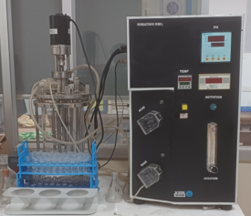 Laboratory-Scale Bioreactor